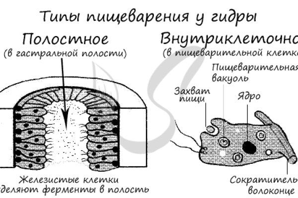 Кракен 22