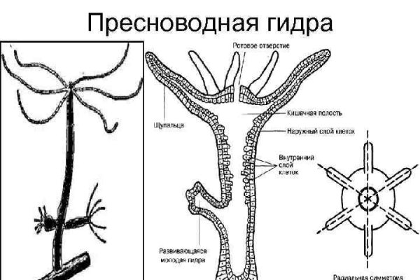 Как выйти на кракен