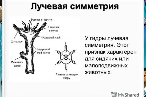 Пользователь не найден кракен даркнет