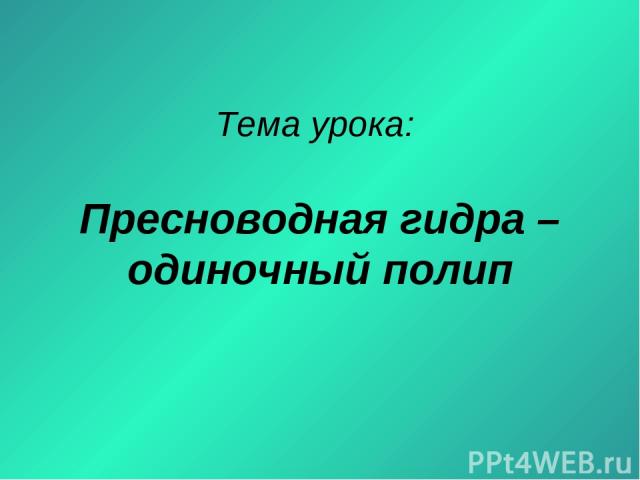 Кракен маркет онион